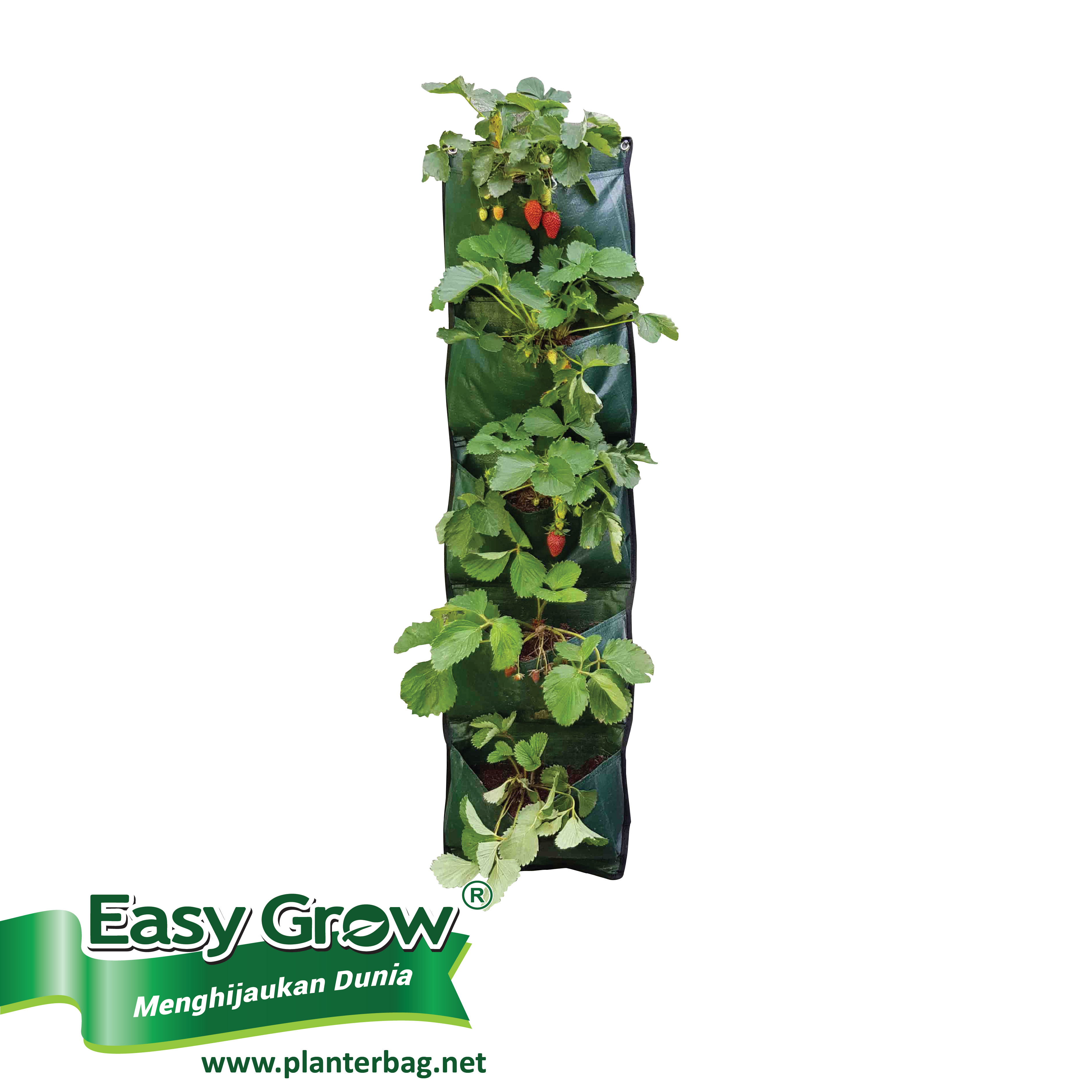 Easy Grow Wall Planter 5 Pockets Vertical